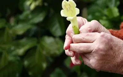 Top 5 Natural Ways to Relieve Arthritis Pain