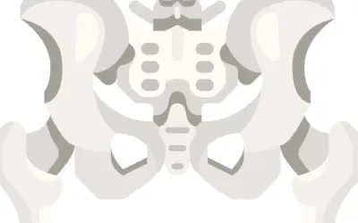 Pelvic Floor Rehab 101